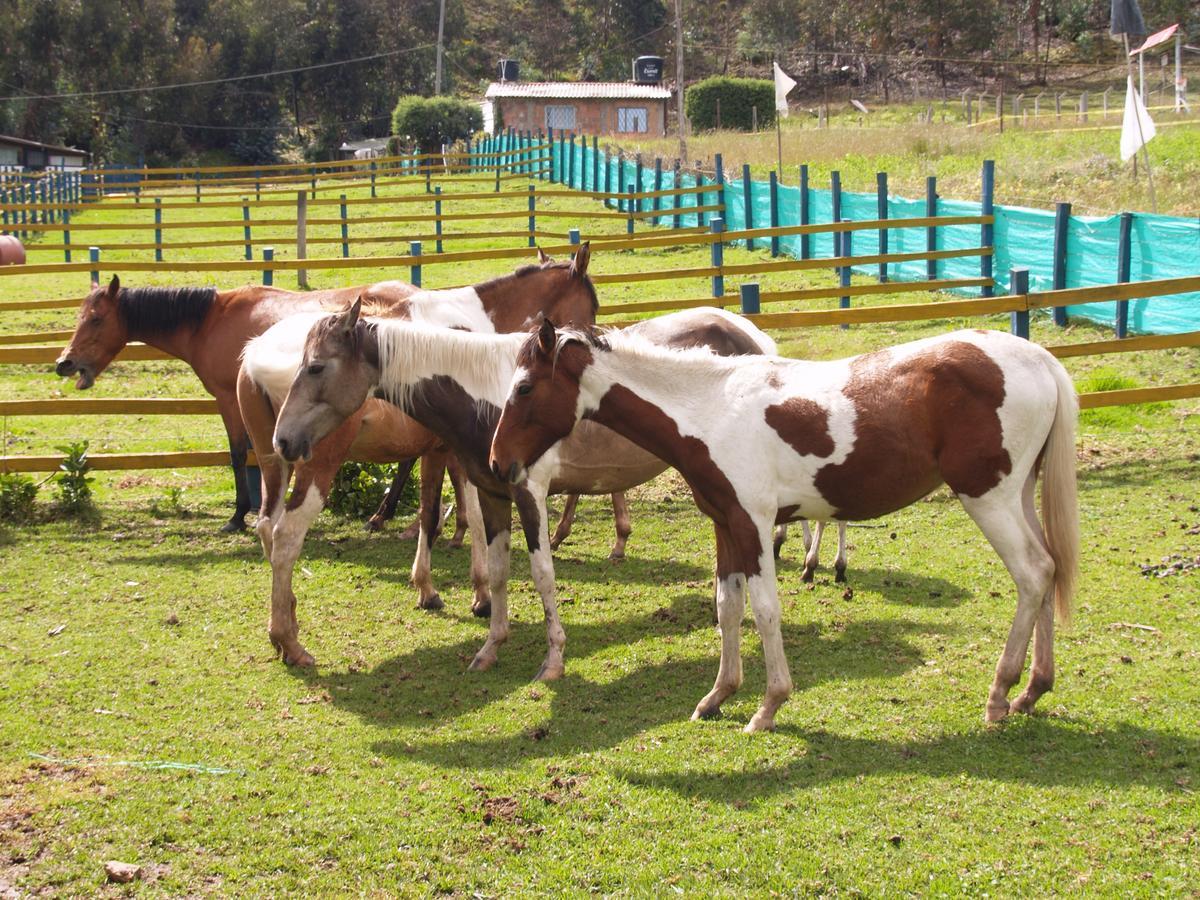 Hotel Rural La Esperanza Suesca Buitenkant foto